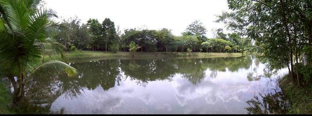 ที่ดินสวยราคาถูก เขาฉกรรจ์ สระแก้ว 3