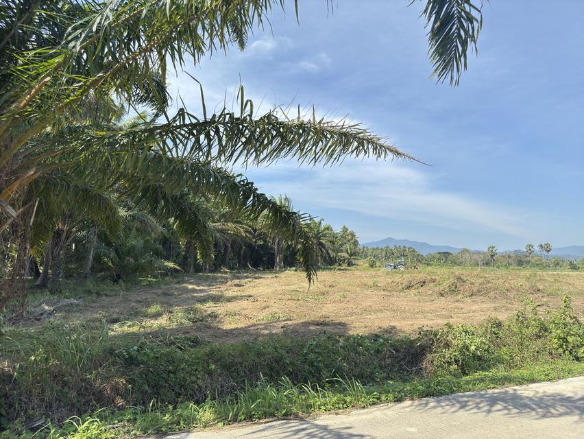 ให้เช่าที่ดินเปล่า ทำโกดังเก็บสินค้า 3