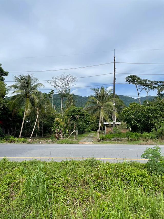 ที่ดิน 8.5 ไร่ ริมถนนสุขุมวิท ต.คลองนารายณ์ อ.เมือง จ.จันทบุรี 11
