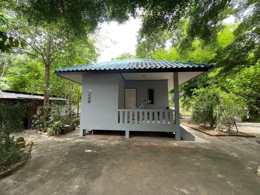 บ้าน และที่ดินจังหวัดโคราช 1