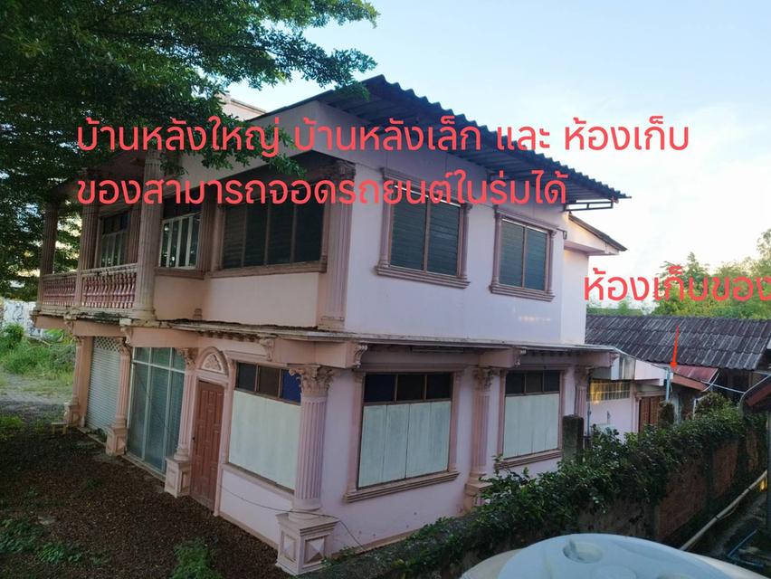 ขายบ้านพร้อมที่ดินทำเลดีติดถนนใหญ๋เขตชุมชนใน อ.เมือง จ.ลำพูน 8