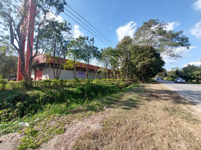 ขาย/ให้เช่าที่ดินเชียงราย 6