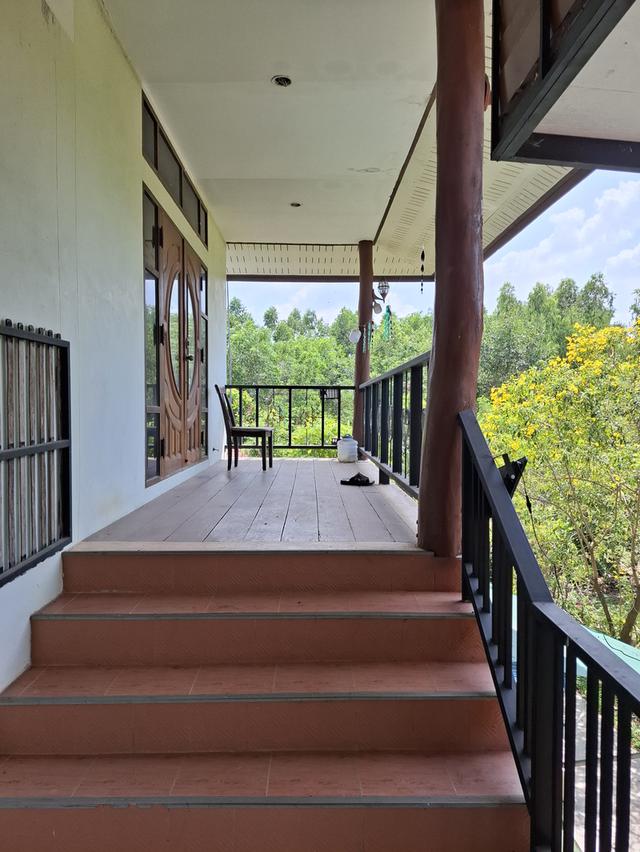 บ้าน2 ชั้น 4ห้องนอน 2ห้องน้ำ พื้นที่ใช้สอย 260 ตรม. พร้อมที่ดิาปลูกผลไม้รอบบ้าน 1 ไร่ 7