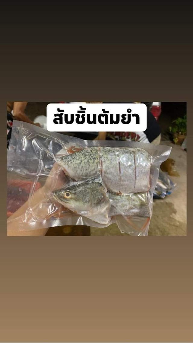 ขายปลากะพงขาว ทำได้หลายเมนู 2