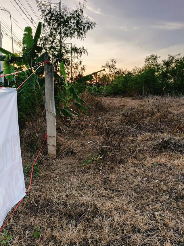 ที่ดินเปล่าถมแล้วขนาด1ไร่3งาน81ตร.ว. ที่ติดถนนใหญ่ ตรัง-สิเกา ห่างจากอำเภอเมืองตรัง 6กม. ด้านข้างติดคลองนา 8