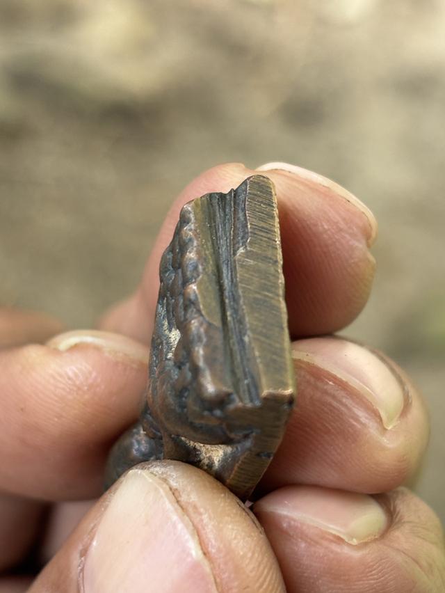 หลวงพ่อทวด2505 หลังเตารีด