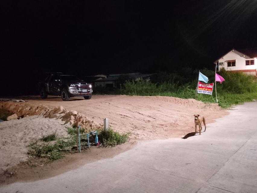 ขายที่ดิน 50 ตรว.อุทัยธานี 1