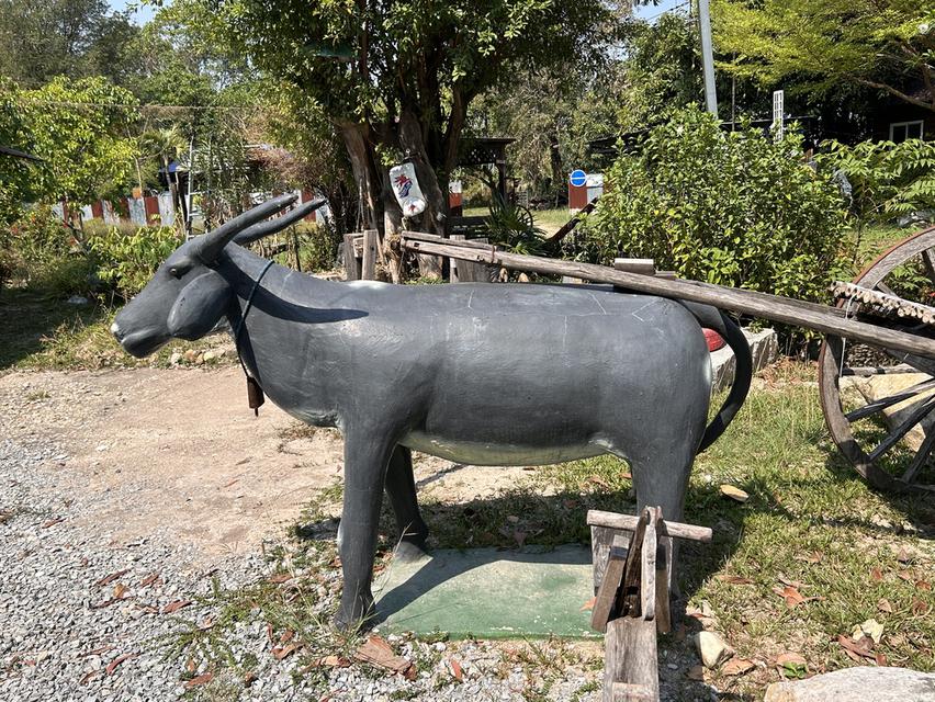 ขายของเเต่งร้าน  วินเทจ  มือสอง  รีบขายด่วน  คืน พื้นที่ให้เจ้าของ  รับเอง 19