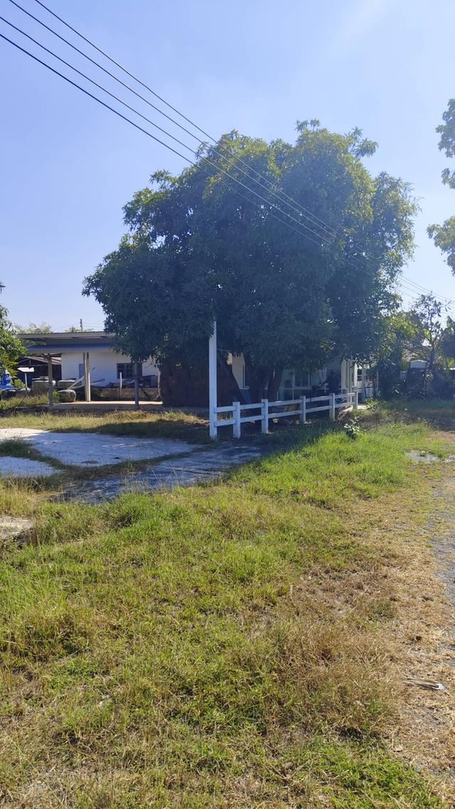 บ้านพร้อมที่ดิน ต.ปากช่อง อ.จอมบึง ราชบุรี 3