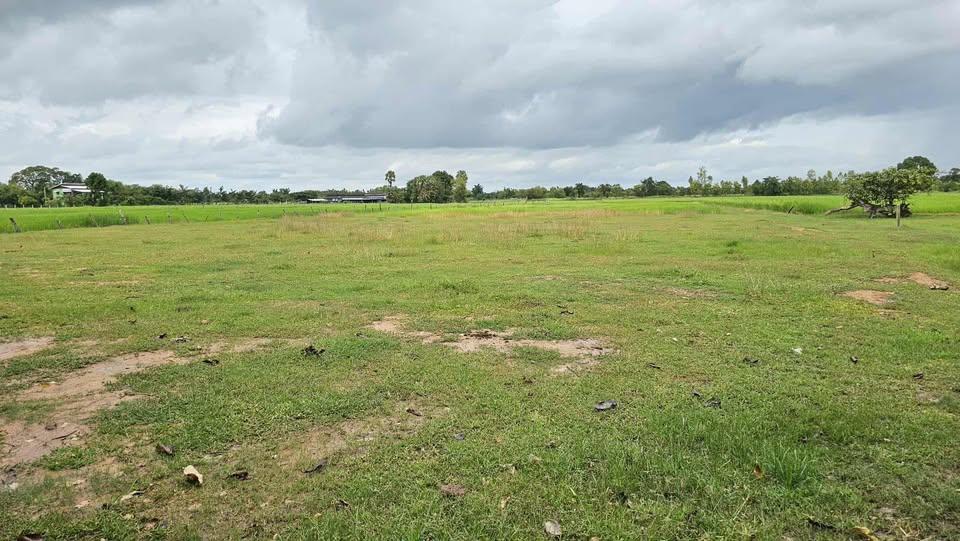 ขายที่ดินบุรีรัมย์ โฉนดครุฑแดง 2