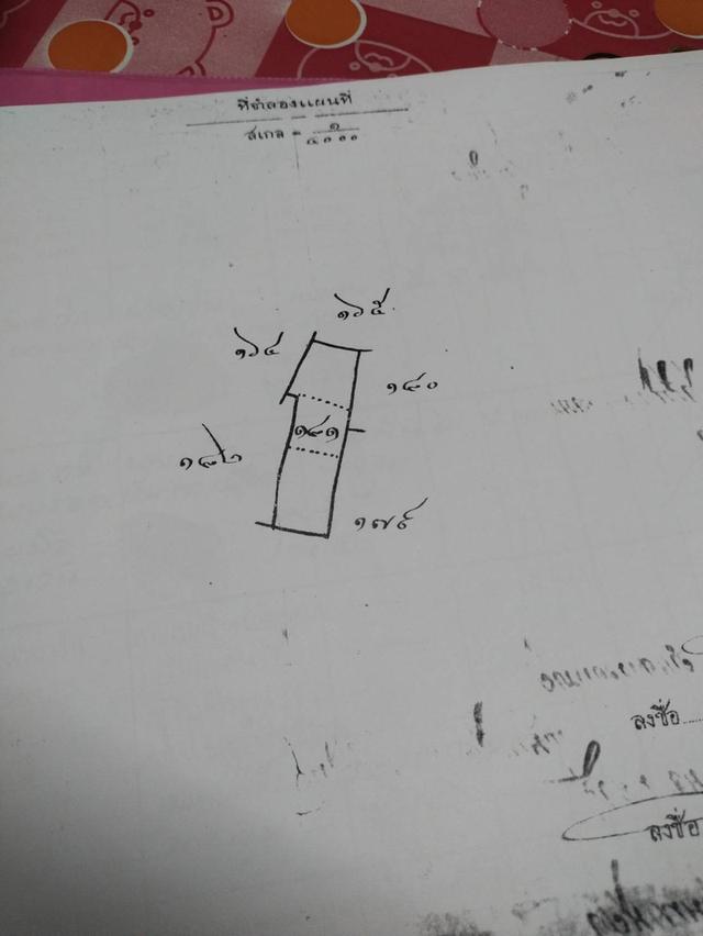 ที่ดินนครชัยศรี จ.นครปฐม 2