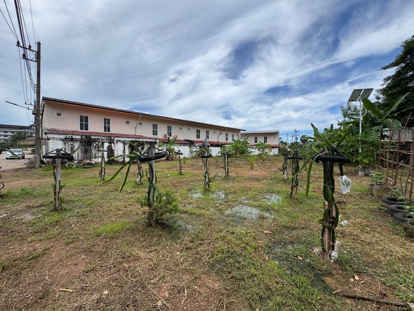 ขายด่วน ที่ดินชุมพร ในตัวเมือง 308.1 ตรว ขายเกือบเท่าราคาประเมิน