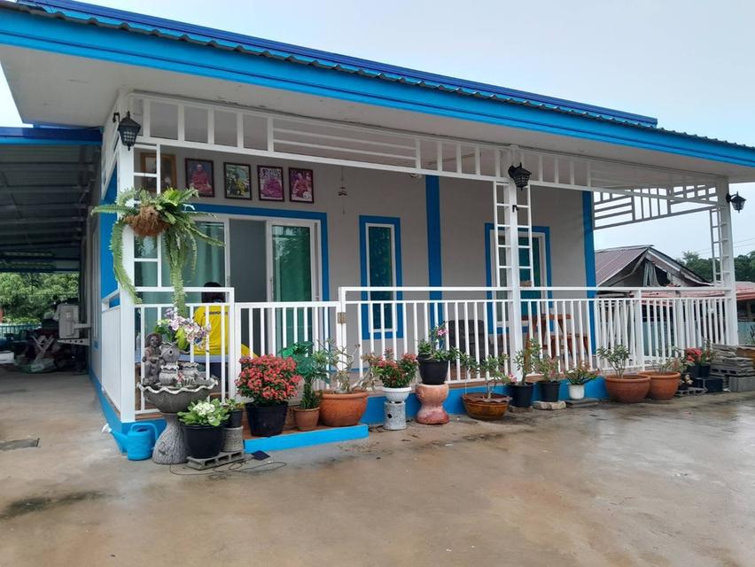 บ้านพึ่งสร้าง  ขาย"ขาดทุน "ใจกลางเมืองปักธงชัย 150 ตร.ว 2.5 ล้านบาท 1