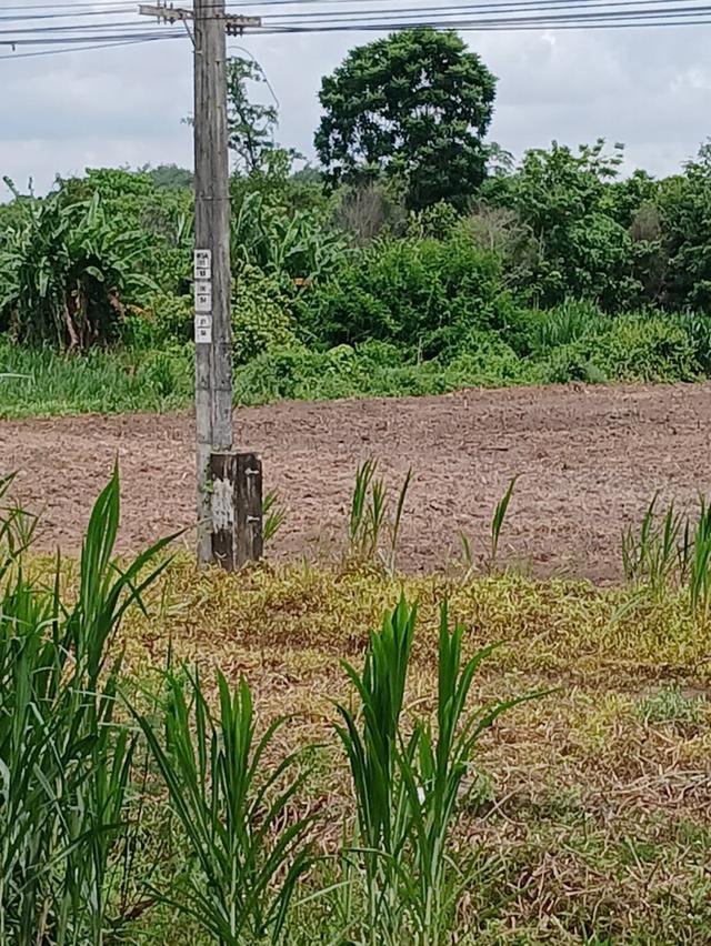 ที่ดินทำเลทอง ติดถนนใหญ่เพชรเกษม 1