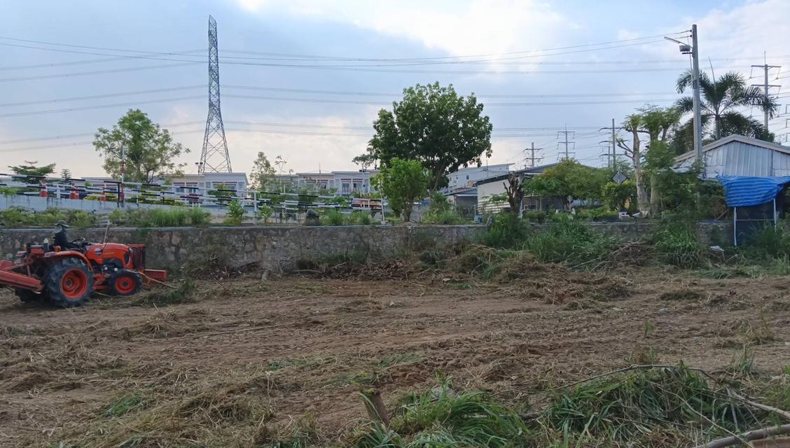 ขายที่ดิน 1 ไร่ติดถนนติดโรงเรียนสอนขับรถ ย่านนิคม อ.ปลวกแดง 5