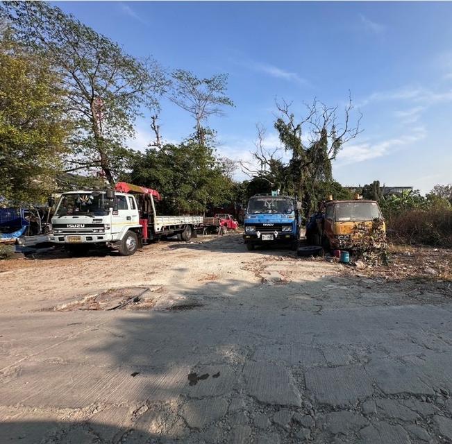 ที่ดินเปล่า 3