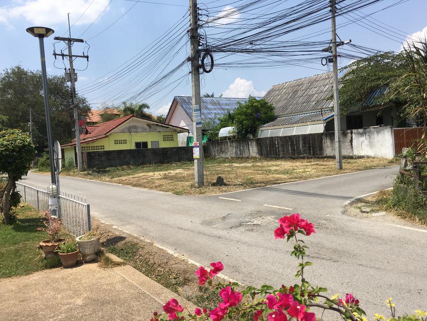 อยู่สะดวกสบาย ทำเลดี 50 ตรว. 2