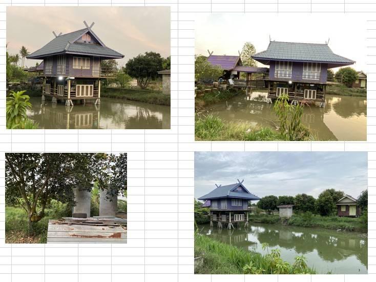 ที่ดิน บางพุทโธ ต.ตะลุง อ.เมือง จ.ลพบุรี 12ไร่2งาน มีสวน และบ้านพร้อมอยู่อาศัย 16