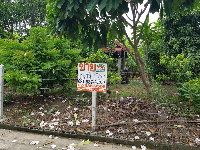 #ขาย ที่ดิน ในหมู่บ้านสาวิตรี ศาลาธรรมสพน์ 31  ถนนพุทธมณฑลสาย 3 เขตทวีวัฒนา กรุงเทพมหานคร 3