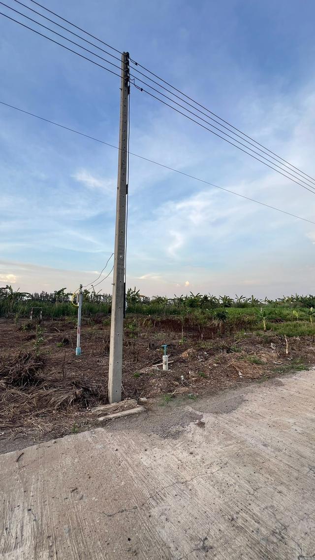 ขายที่ดินเงินผ่อน 2 ปี ไม่มีดอกเบี้ยตำบล หนองสามวัง อำเภอ หนองเสือ ปทุมธานี 18