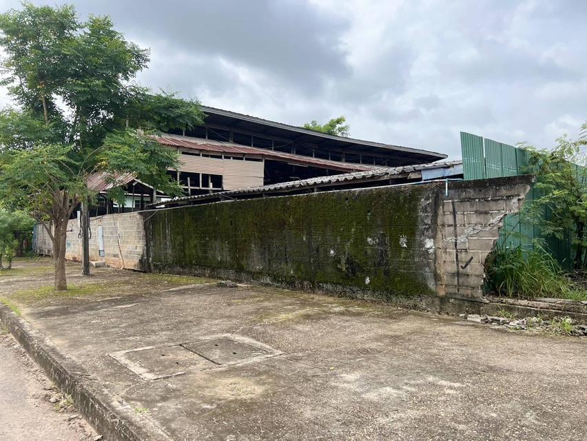 ขายที่โกดังติดถนนหลังเส้นโรงพยาบาลสมเด็จพยุพระราชเลิงนกทา หน้ากว้างติดถนน 32ม.ลึก43 ม.เนื้อที่ทั้งหมด3.617 งาน ห่างโรงพยาบาล 300 เมตร  เขต ทต.เลิงนกทา 5