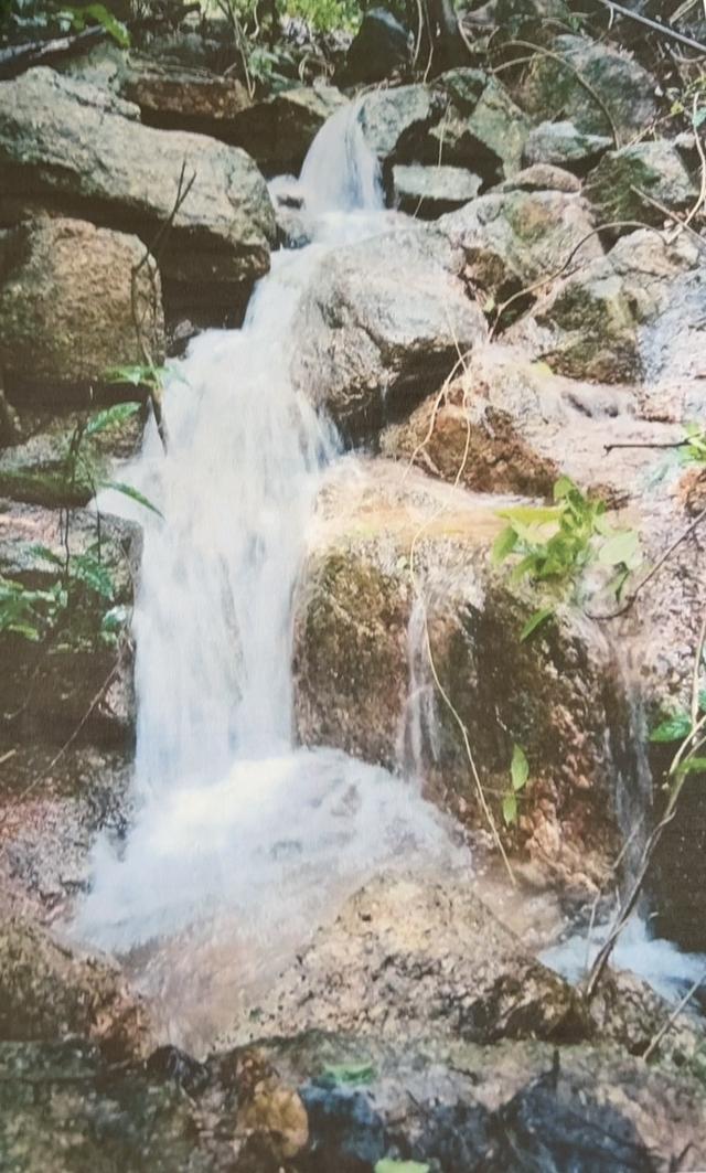 ที่ดินแบ่งขาย 9ไร่ น้ำไม่ท่วม ทุ่งใหญ่ หาดใหญ่ 6