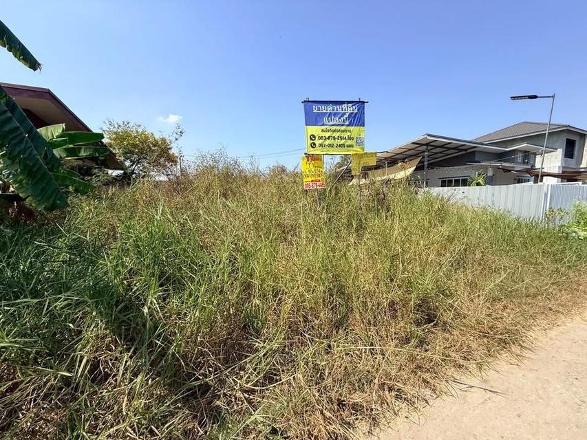 ขายที่ดิน 55 ตารางวาซอยดำรงชาติ หนองจอกกรุงเทพฯ 2