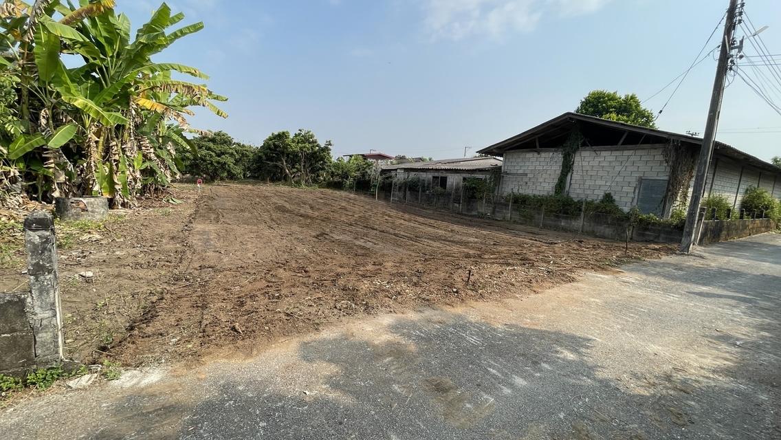 ที่ดิน สันป่าตองเชียงใหม่ 1