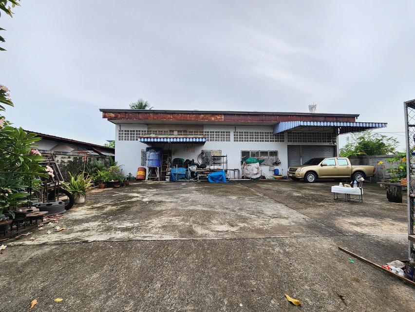 ขายด่วน !!! ที่ดินพร้อมสิ่งปลูกสร้าง อ.เมือง จ.สุราษฎร์ธานี 2