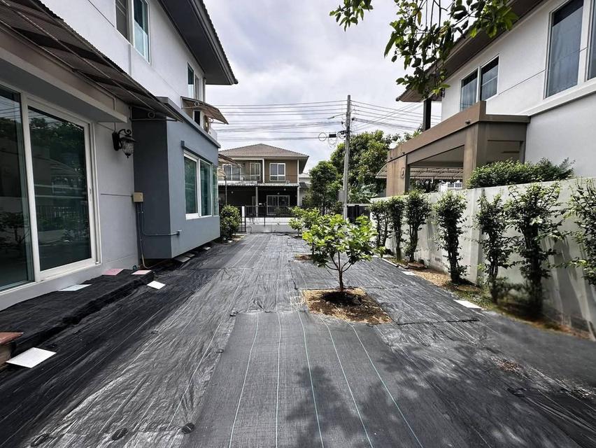 บ้านเดี่ยว ม. ชัยพฤกษ์พุทธมณฑลสาย 5 3