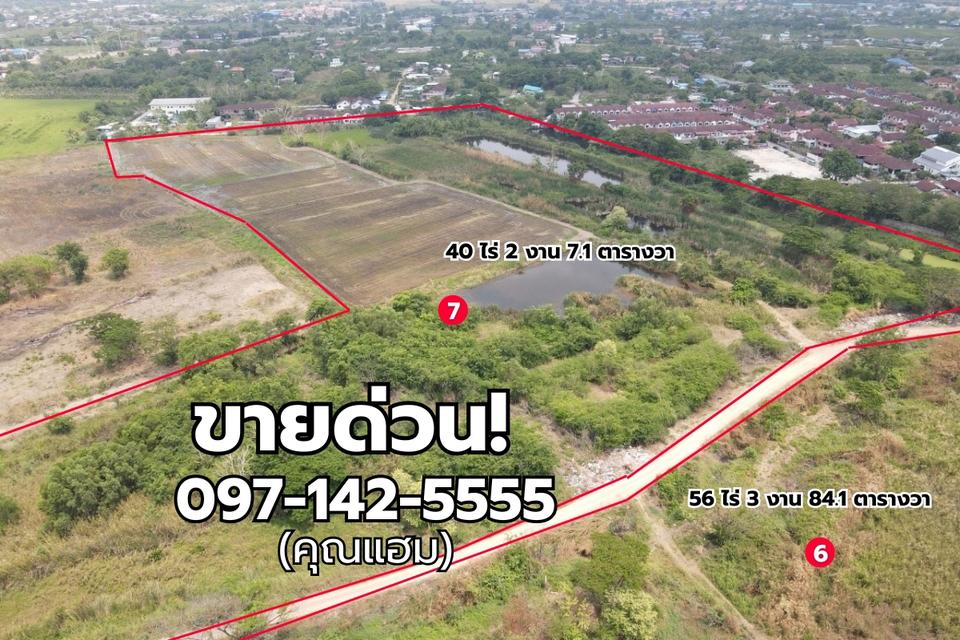 ขายที่ดินเปล่า สามโคก  ปทุมธานี  จำนวนหลายแปลง