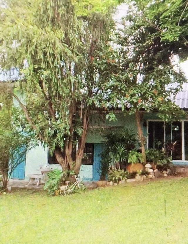 บ้านเดี่ยวให้เช่าใกล้ทะเล บรรยากาศดี ศรีราชา ชลบุรี 3