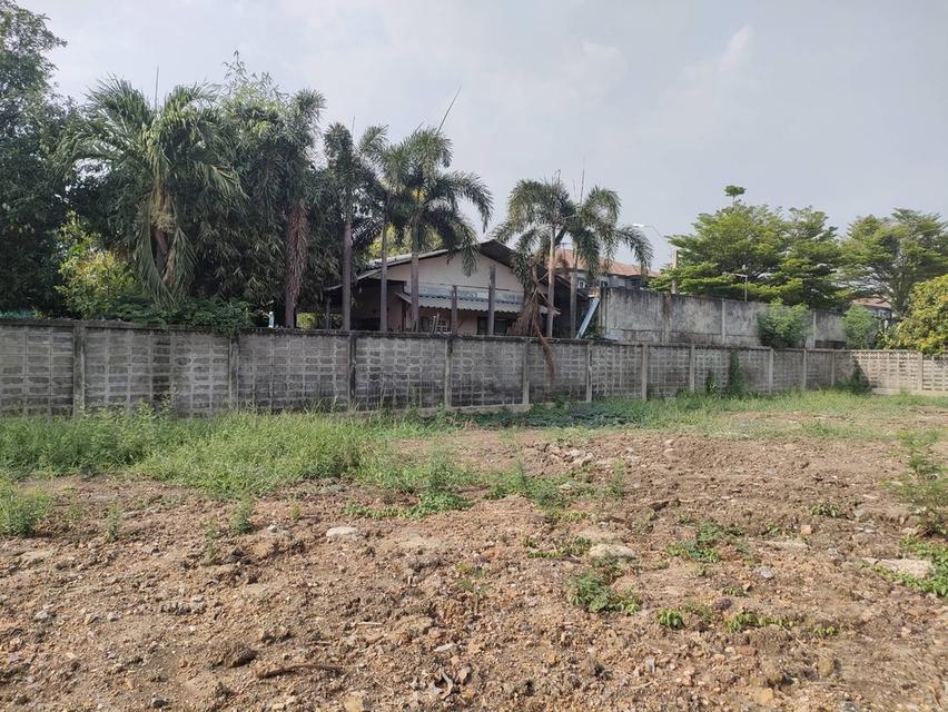 ให้เช่าที่ดินเปล่าถมแล้วในถนนมัยลาภ กรุงเทพมหานคร 5