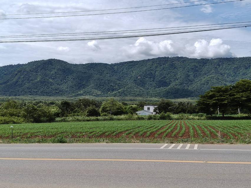 ขายที่ดินเขาใหญ่ ติดถนน3052 หมูสี ปากช่อง ที่ดิน 4 ไร่ติดถนนใหญ่ ใกล้ธนะรัชต์ ทางไปทอสคานา โป่งตาลอง ใกล้คีรีมายา วิวอุทยานเขาใหญ่ เลือดไทย 0879074045