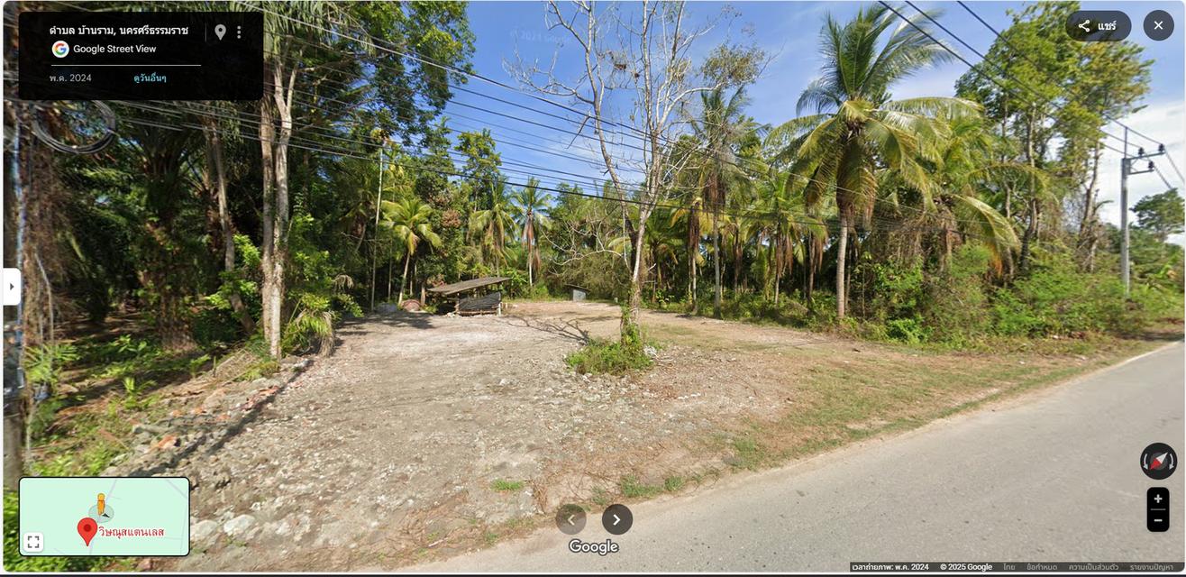 🌴ด่วน! ขายที่ดิน 6ไร่ นครศรีธรรมราช  พร้อมสวนปาล์ม ถมที่แล้ว น้ำไม่ท่วม  1
