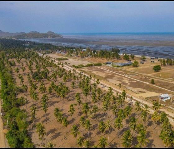 ขายที่ดิน 2 ไร่ กุยบุรี ติดถนนเลียบชายหาด กุยบุรี ห่างชายหาด 200เมตร เหมาะทำรีสอร์ท เวลเนส พูลวิลล่า 5