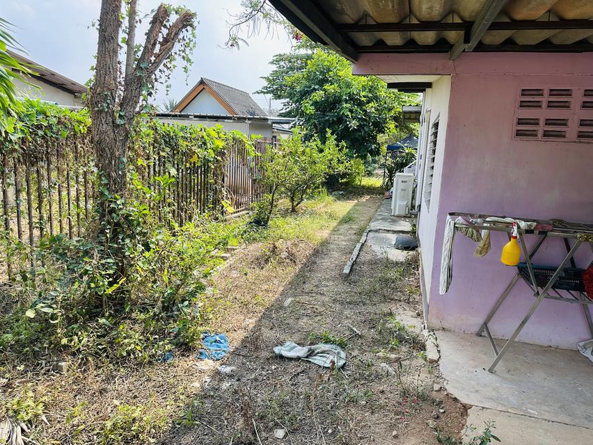 บ้านเดี่ยว 2 ห้องนอน 1 ห้องน้ำ 9