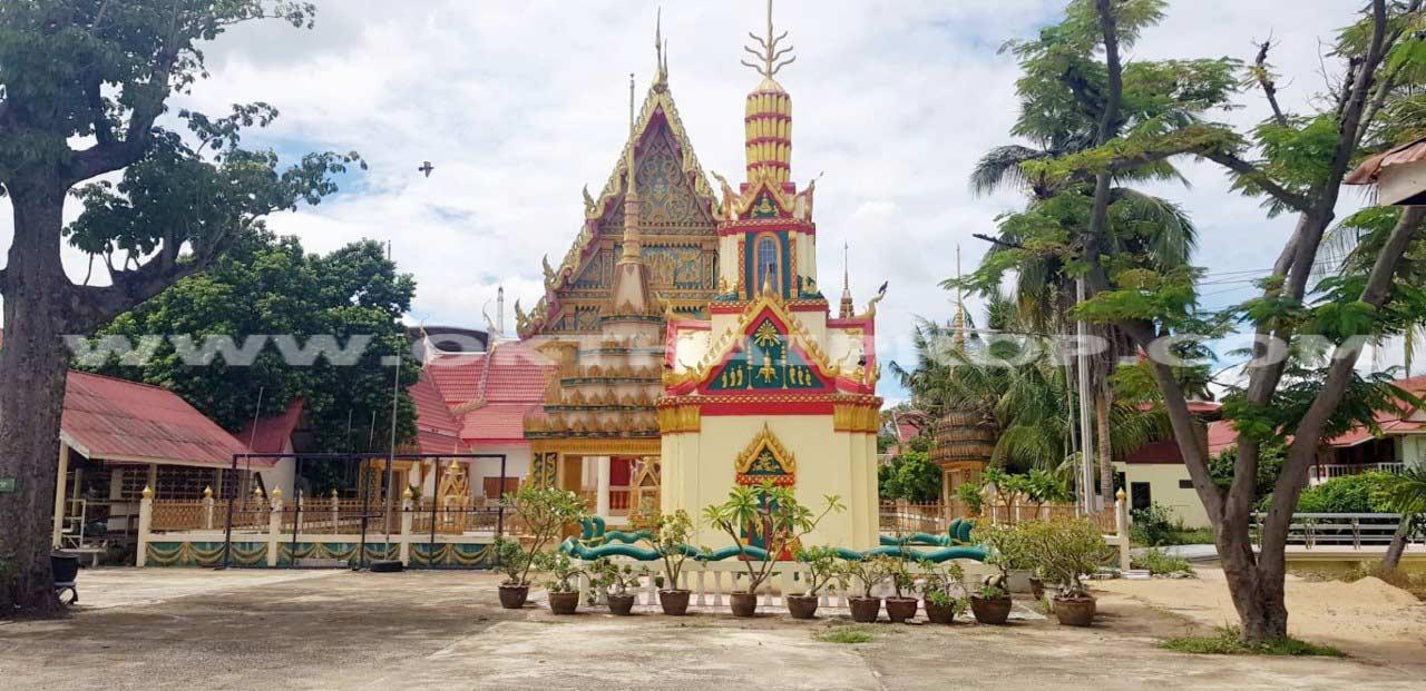 ที่ดิน ถ.ทล.ชนบทพิจิตร3016 ต.วังสำโรง อ.บางมูลนาก จ.พิจิตร 10
