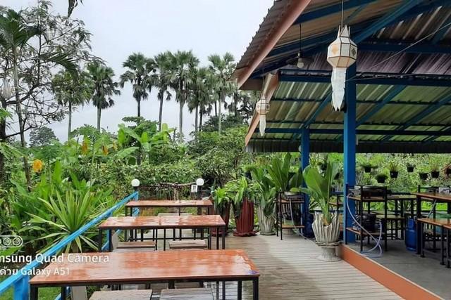 ขายที่ดินพร้อมสิ่งปลูกสร้าง (ร้านอาหาร) เนื้อที่ 1 ไร่ 2 งาน 85 ตรว. ต.สันโป่ง อ.แม่ริม จ.เชียงใหม่ 4