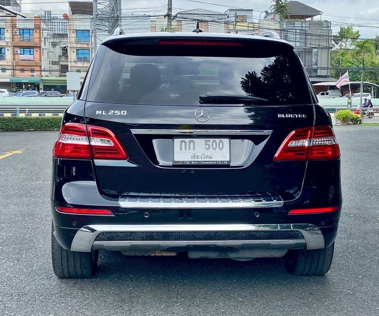 ML-Class ML250CDI W166 รูปที่ 4