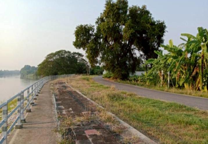 ให้เช่าที่ดินเปล่าถมแล้ว 226 ตารางวา ใกล้แม่น้ำน่านวิวสวย 3