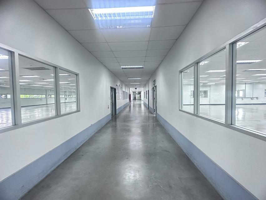 ขายโรงงานอุตสหกรรม ขายโรงงานอุตสหกรรม โรงงานผลิต/โกดังสินค้า พื้นที่สีม่วง ที่ตั้ง: นำไกร, ลาดกระบัง 18