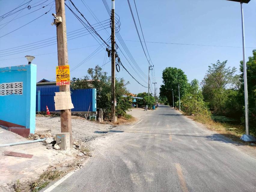 ขายด่วนที่ดิน 158 ตรว เหมาะสร้างบ้านสวน บางระกำ บางเลน นครปฐม 6