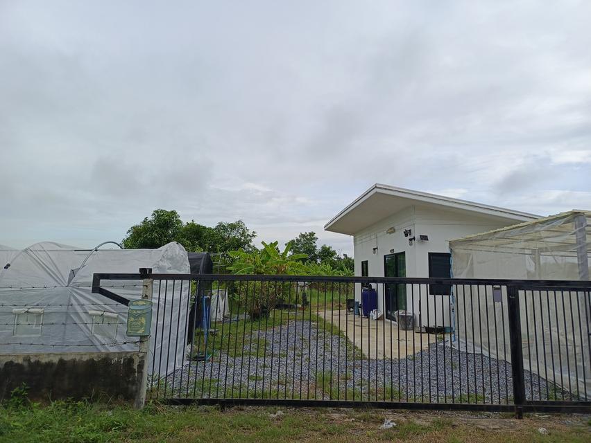 ขายที่ดิน 3