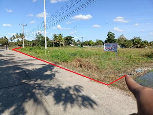 ที่ดิน 1-3-59.0 ไร่ ต.ขามทะเลสอ อ.ขามทะเลสอ จ.นครราชสีมา 3