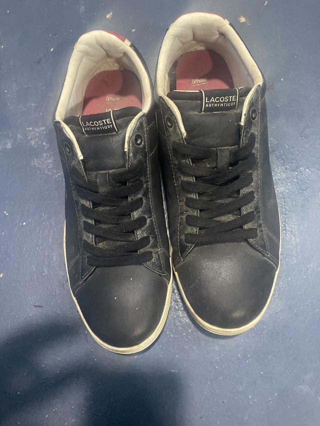 รองเท้าผ้าใบ lacoste รุ่น carnaby ortholite