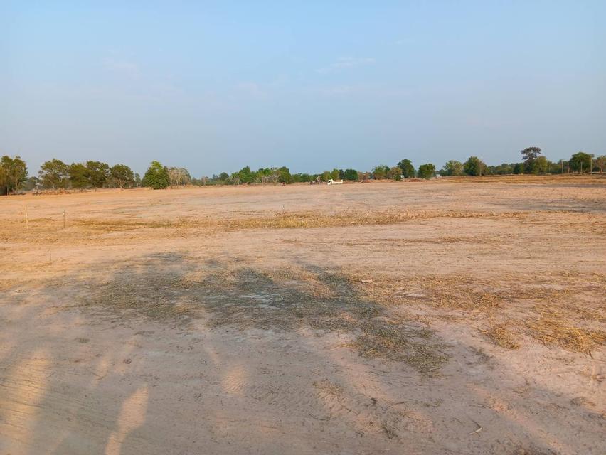 ที่ดิน 30 ไร่ ติดถนนเมืองพล หนองสองห้อง ถนนเจนจบทิศ ทางขึ้นลงทางด่วน มอเตอร์เวย์ M6 กรุงเทพ หนองคาย ที่ดินถมแล้ว 5 ปี พร้อมสร้างหมู่บ้าน 5