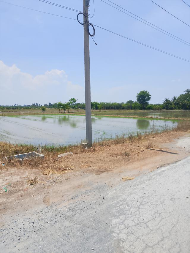 ที่ดินเปล่า เป็นที่นาติดถนนมีคลองชลประทานอยู่หน้าถนน อยู่ อำเภอเมือง จังหวัดสุพรรณบุรี ถนนไปมาง่าย น้ำไฟครบ สนใจติดต่อมาได้ค่ะ 5