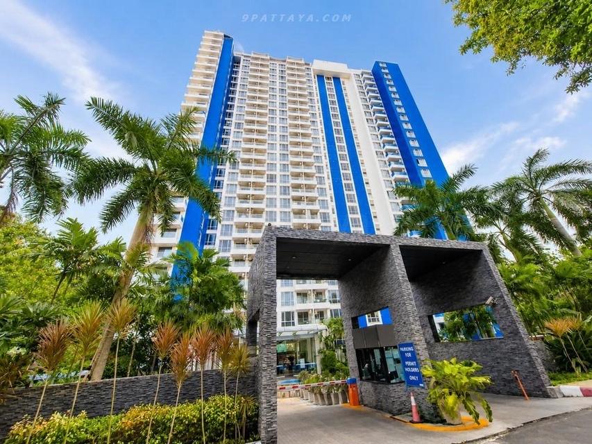 For Rent / For Sale — Newly Renovated Pool View Condo at The Cliff, Pratumnak Pattaya • 1 bedroom• Unit size: 38 sq.m.• Floor: 4• Pool view 1