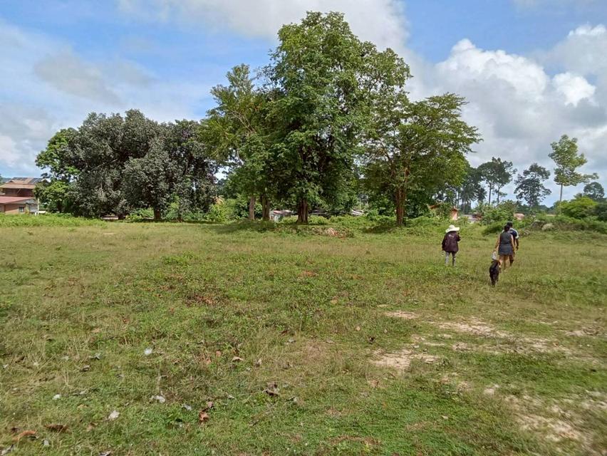 ขายที่ดิน เกาะสมุย land for sale samui 10